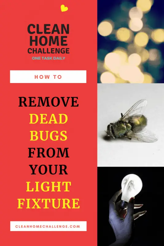 How To Remove Bugs From Light Fixtures