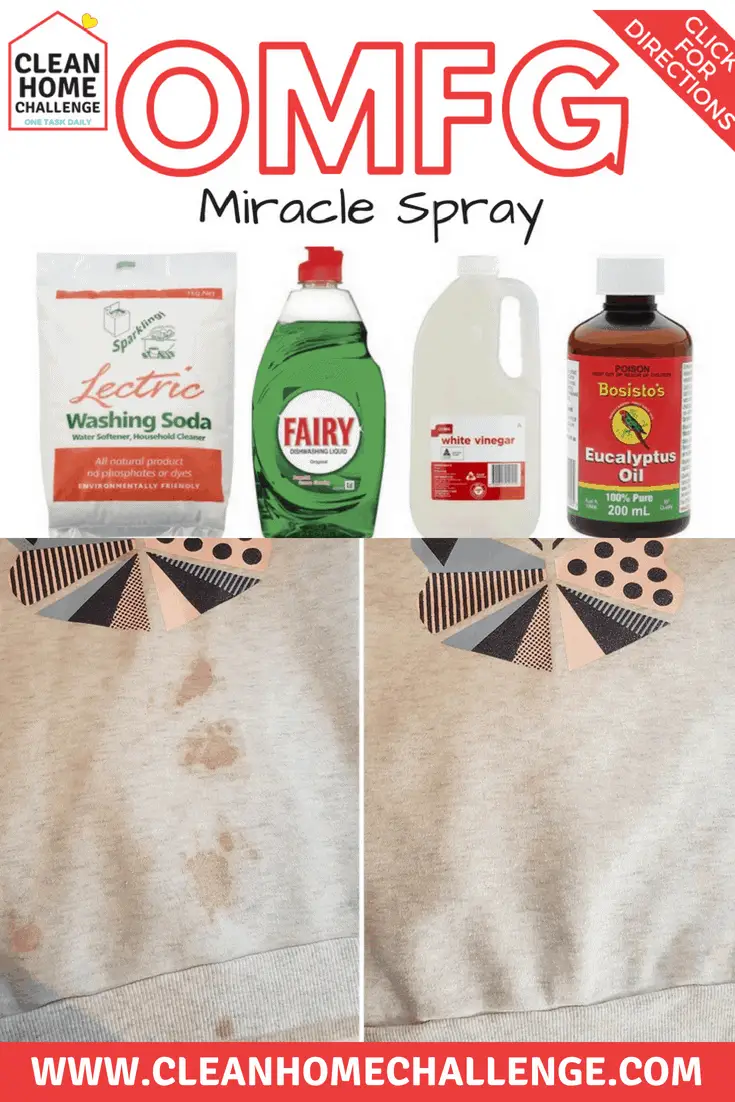 OMFG Miracle Spray from Clean Home Challenge