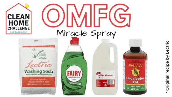 OMFG Miracle Spray - Clean Home Challenge