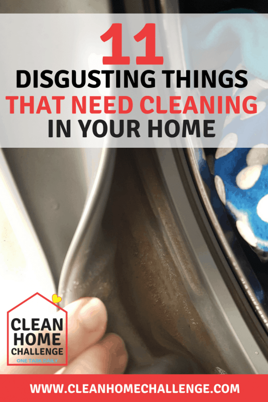 Disgusting Things That Need To Cleaned In Your Home ASAP