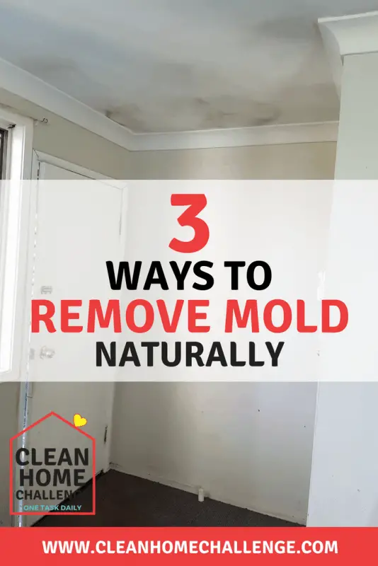 How To Remove Mould Naturally