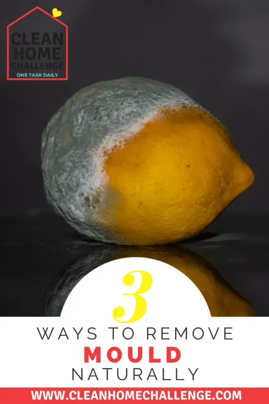 How To Remove Mould Naturally