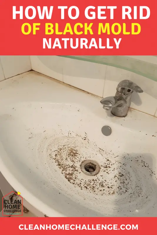 How To Remove Mould Naturally