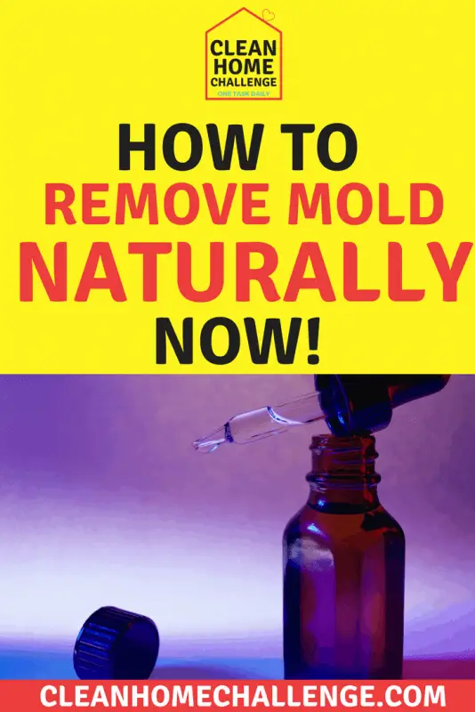 How To Remove Mould Naturally