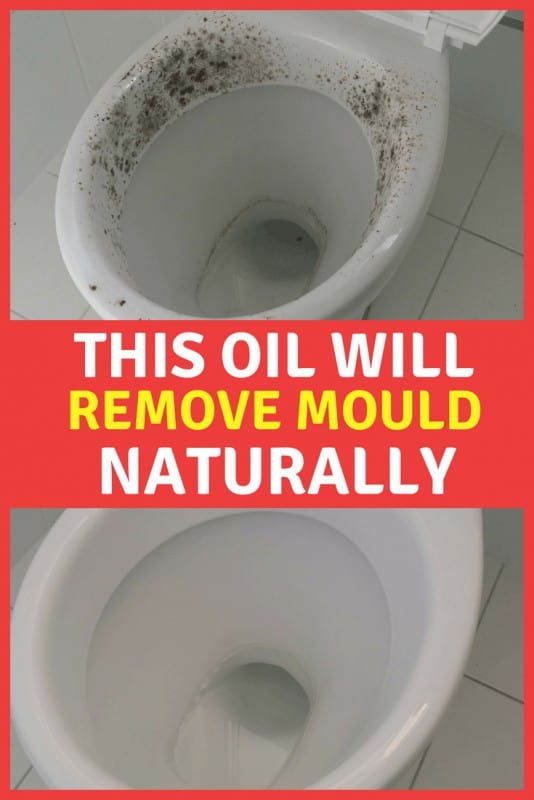 How To Remove Mould Naturally