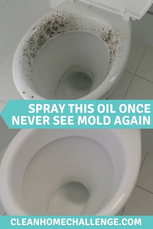How To Remove Mould Naturally