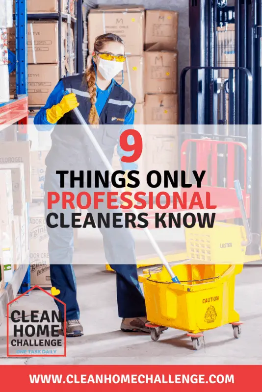 Professional cleaning tips from marks on walls, fingerprints on the fridge, to a clean toilet.