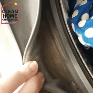 Front Loading Washing Machine Seal Cleaned