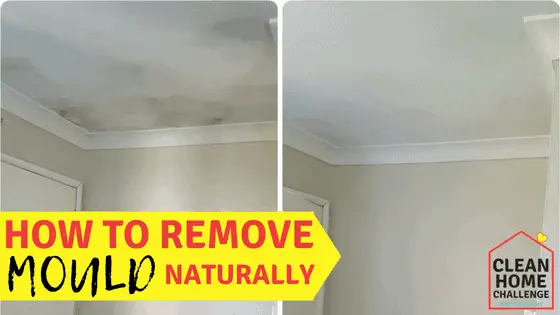 How To Remove Mould Naturally Clean Home Challenge