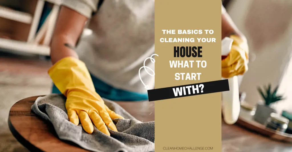 The Basics To Cleaning Your House: What To Start With
