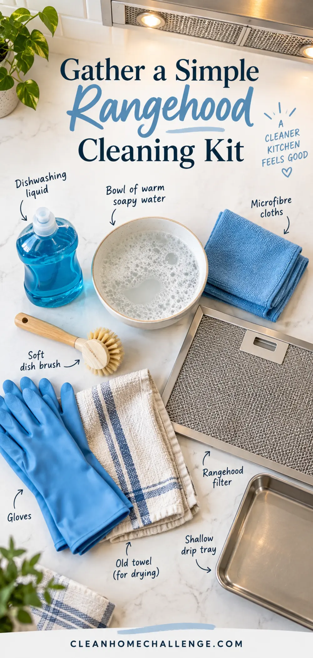 Overhead cleaning kit with dishwashing liquid, warm soapy water, cloths, brush, gloves, towel, tray and metal filter.