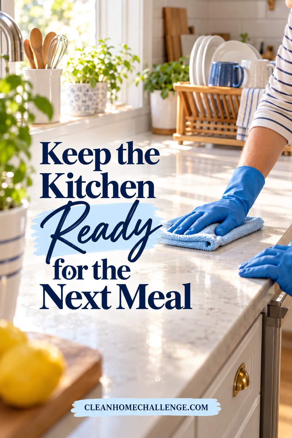 Blue-gloved hands wiping a kitchen preparation counter beside a rack of clean plates and mugs.