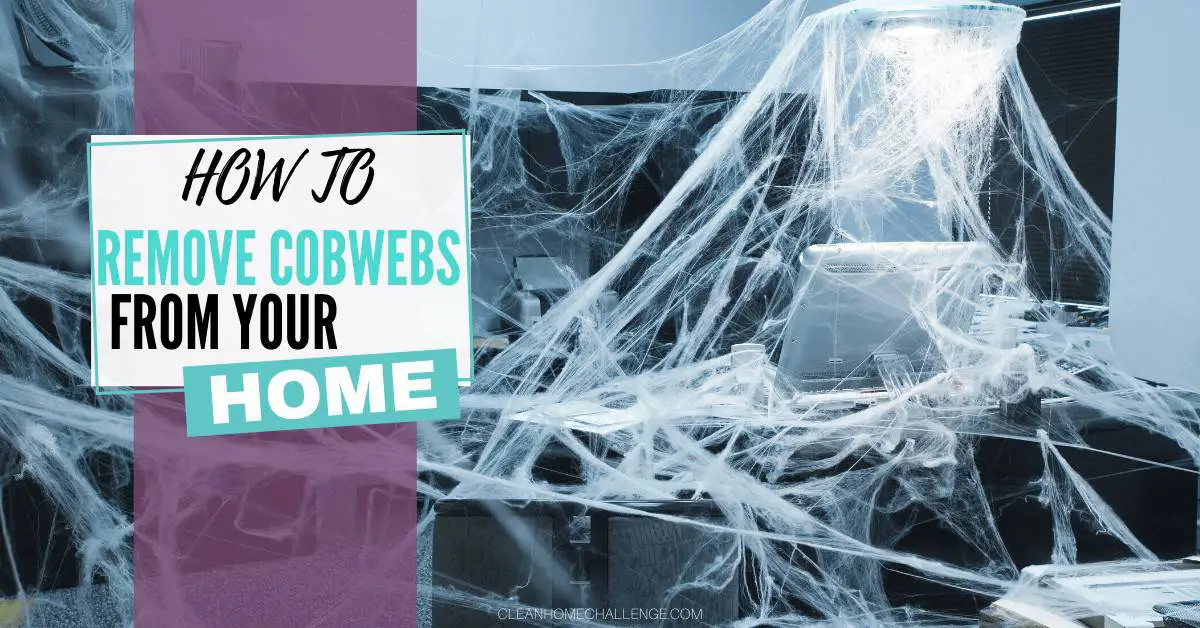 How To Remove Cobwebs From Your House