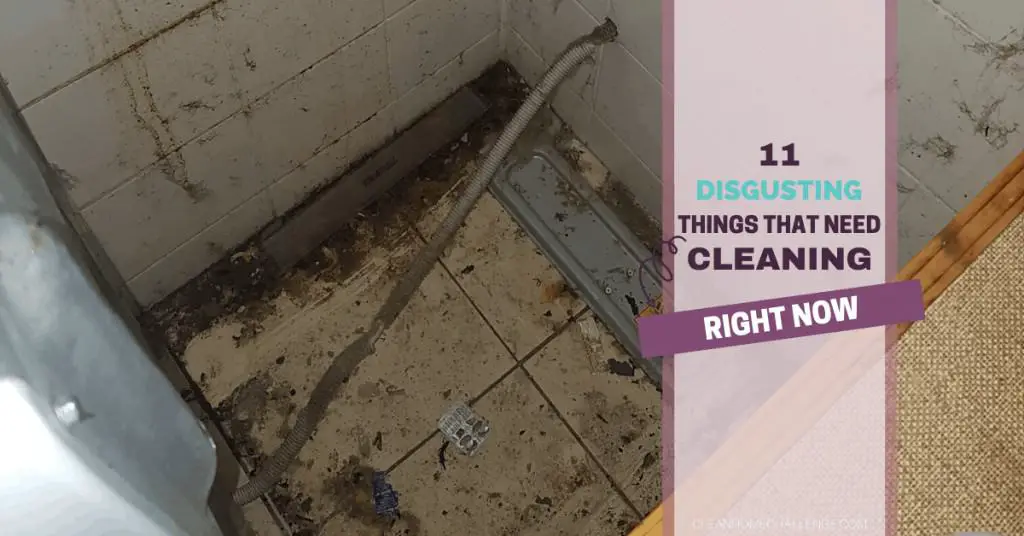 11 Disgusting Things That Need Cleaning Right Now