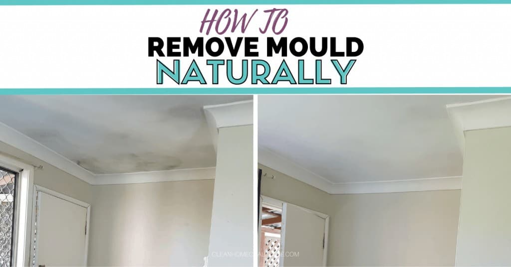 How To Remove Mould Naturally