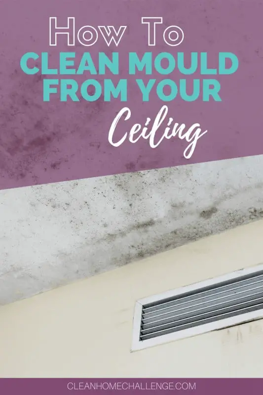 How To Remove Mould From Your Ceiling
