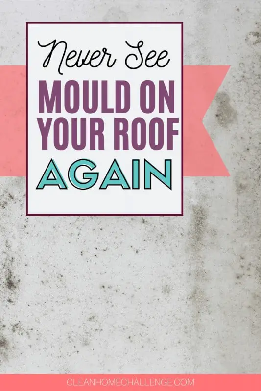 How To Remove Mould From Your Ceiling